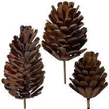 Compare prices on popular products in home decor. Handmade Pine Cones