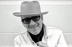 Elvis Costello Defends Olivia Rodrigo's 'Brutal'