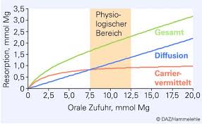 Neben 300mg kalium pro tablette sind in den magnesium tabletten auch vitamin b12 und vitamin b6 enthalten. Magnesium Und Mg Verbindungen In Supplementen
