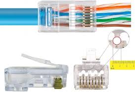 Image result for tbn:EUp45xQo3I6gCM: