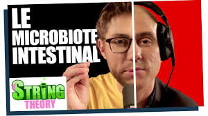 Le microbiote intestinal (sans Jean Lebrun)
