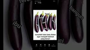 Arrange the words below become a correct sentence!11. Susunlah Kata Kata Diatas Agar Menjadi Kalimat Yang Benar Youtube