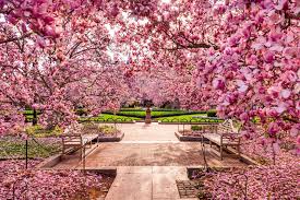 Image result for spring photos