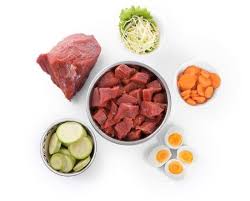13 Balanced Homemade Dog Food Recipes Raw Dog Food Recipes Senior Dog Food Recipes Balanced Homemade Dog Food Recipe