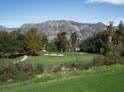 Ojai Senior Cup