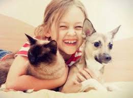 Pet doctor rx is tucson, arizona's affordable veterinary clinic. Veterinarian In Tucson Az Canada Del Oro Pet Clinic