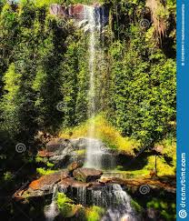No list of brazil's top natural wonders can be complete without mentioning the amazon rainforest. A Beautiful Waterfall At Pirenopolis Stock Photo Image Of Light Looking 125483844