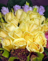 Check spelling or type a new query. Beautiful Yellow Roses Free Stock Photos Rgbstock Free Stock Images Coolhewitt23 September 21 2015 2
