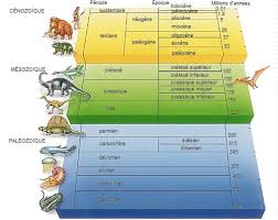 ère géologique - LAROUSSE