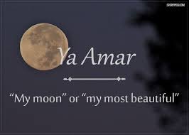 Breathtaking Elegance Urdu Words With Meaning Uncommon Words Beautiful Arabic Words