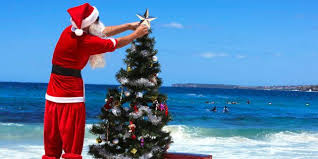 From the film australia collection. This Is The Most Australian Christmas Tree Ever Huffpost Australia Life