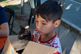 Coovilros (@coovilros) • Instagram photos and videos