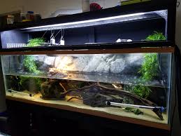 The amount of effort, expense and time will vary with each individual pond. Red Eared Slider Tank Size Requirements Reptifiles