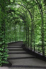 Passage In The Garden At Alnwick Castle Senderos De Jardin Jardines Jardines Bonitos