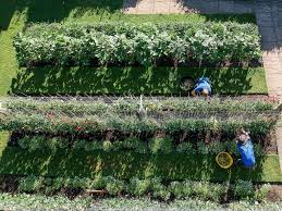 Последние твиты от stamford magazine (@stamfordmag). Local Living Helping You Get The Most Out Of Where You Live