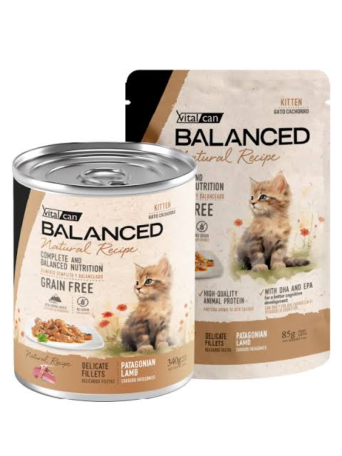 POUCH VITAL CAN NATURAL RECIPE CORDERO GATO KITTEN