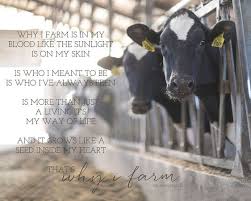 Why I Farm Farmgirl Photography Farm Girl Quotes Farm Quotes Farm Life Quotes