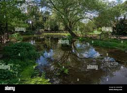 Marcia lake hi-res stock photography and images
