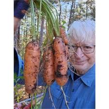 Dr. Michael Holick added a new photo.