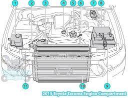 The location of the engine coolant temperature sensor on. 2015 Toyota Tacoma Engine Compartment Parts Diagram 2tr Fe