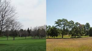 Several places were found that match your search criteria. As Golf Courses Close Nature Gets A Chance To Make A Comeback Ensia