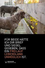 Der Weg Meiner Hunde In Den Freilauf In 2021 Freilauf Hunde Lauf