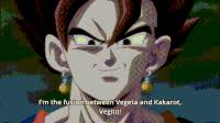 In 2004 the basics of the game were transposed to adobe flash. Vegito Blue Gifs Get The Best Gif On Giphy
