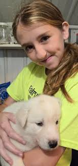 Zookeeper Diaries: Meet the Munchkins! Our female capybara “Munch” had her  first litter of babies! The three little munchkins, named “Blueberry,  Pumpkin, and Sprinkles” (as in 'munchkin donut flavors') are just three