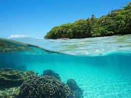 We are the costa rica vacation & travel experts, providing quality unbiased travel advice on costa rica for over 14 years. Tauchen In Costa Rica Padi