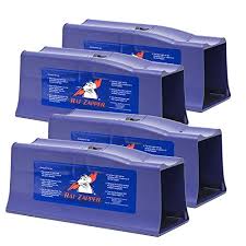Catchmaster 72max pest trap, 36count, white. Top 6 Best Mouse Traps Updated For 2021
