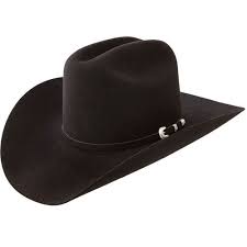 Pin By Eneasueli Martines On Cowboy Hats Cowboy Hats Felt Cowboy Hats Cowboy Hat Styles