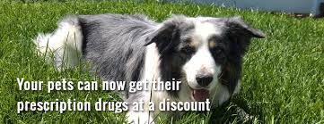 Cardholders have saved up to 80% on prescription drug purchases at their current pharmacies. Nbbi Pet Drug Card