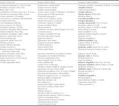 Image result for Rhynchosia chapmanii