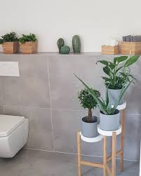 Bild Konnte Enthalten Pflanze Badezimmer Accessoires Badezimmer Zimmer