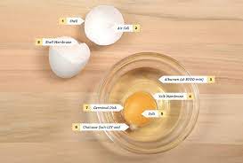 All About The Egg Get Cracking