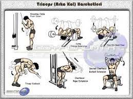 arka kol hareketleri vucut gelistirme fitness egzersizleri fitness