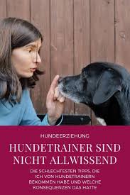 Wenn Hundetrainer Schlechte Tipps Geben In 2020 Hundetrainer Hundeerziehung Hunde