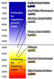 extraordinary marijuana light spectrum chart plants growth