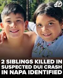 After losing her three children in a crash