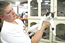 Waverly Pet Rescue kitty condo moves to Norby's