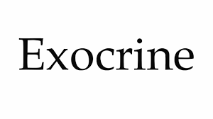 Learn how to pronounce areolas with the american pronunciation guide (apg)! How To Pronounce Exocrine American English By Howtopronounce94