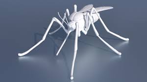 A Mosquito For 3d Printing 3d Print Model Print Models 3d Printer Designs Mosquito