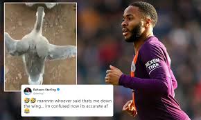 Discover more posts about raheem sterling. Raheem Sterling Reacts As Fans Liken His Running Style To A Goose Daily Mail Online