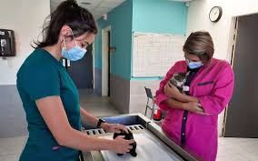 Specializari facultatea de medicina din iași. De Ce Atrage Romania Din Ce In Ce Mai MulÈ›i StudenÈ›i Francezi La Medicina VeterinarÄƒ SecÈ›iile In EnglezÄƒ È™i FrancezÄƒ De La Facultatea Din Cluj Sunt Tot Mai CÄƒutate DeÈ™i Taxele È™i