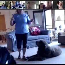 Webmd veterinary reference from aspca virtual pet behaviorist. Dog Training Fun Fur Pets