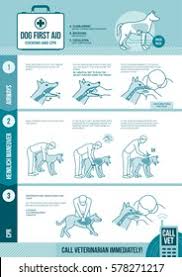 Pro pet hero at a glance. Dog Cpr First Aid Pet Emergency Stock Vector Royalty Free 578271217