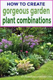Garden Color Schemes How To Create Gorgeous Garden Color Combinations Gardening From House To Home Gorgeous Gardens Colorful Garden Beautiful Gardens