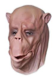 (if you are using a strap that did not require folding, you can opt instead to stitch around the perimeter of the rectangle one more time.) Camel Face Animal Mask Mask Shop Com