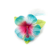 Hibiscus Flower Hair Clip Claire S Flower Hair Clips Flowers In Hair Hibiscus Flowers