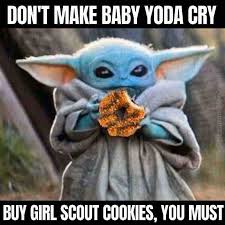 Best Girl Scout Cookie Memes To Sell Cookies With
